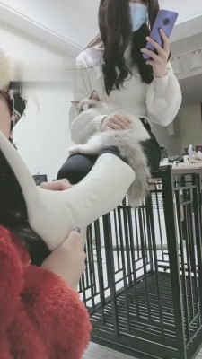 【时安】不听话的贱下场 bf4456-HD绳艺资源网