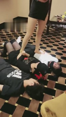 【丹祖宗】三只小狗互相争宠 bf3352-HD绳艺资源网