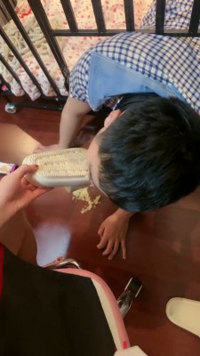 【桃幼幼】狗笼 圈养踩踏食物喂食/强制深喉 bf24544-HD绳艺资源网