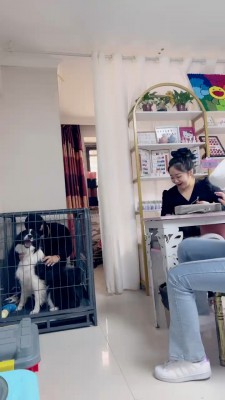 【二宝】真实-美甲店当着技师的面玩狗/关狗笼/强迫喝洗脚水 bf25638-HD绳艺资源网
