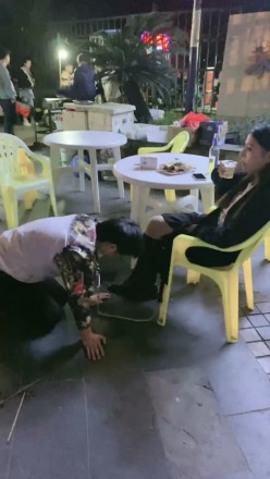 诺曦S热搜户外遛狗引围观当着群众语言羞辱辱骂史上最刺激 网友原创 第5张