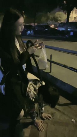 诺曦S热搜户外遛狗引围观当着群众语言羞辱辱骂史上最刺激 网友原创 第13张