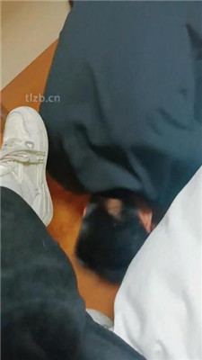 【林十七】运动后原味鞋袜羞辱-HD绳艺资源网