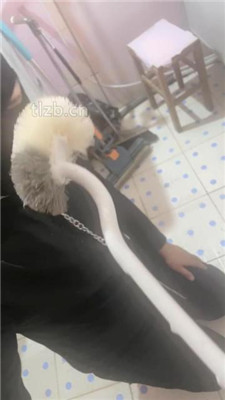 【小月牙】训练厕奴-踩踏/头压马桶/口水吐脸/赏赐圣水/胶带裹脸 网友原创 第6张