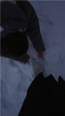【Esse殿下】冰天雪地户外遛狗【完整版】 艾彩调教库 第8张