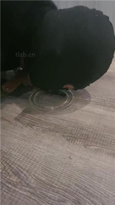 【小雅老师】狗笼圈养犬化绿帽前任【下】 艾彩调教库 第6张