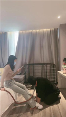 【小雅老师】狗笼圈养犬化绿帽前任【中】 艾彩调教库 第7张