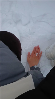 【Esse殿下】冰天雪地户外遛狗【完整版】 艾彩调教库 第4张