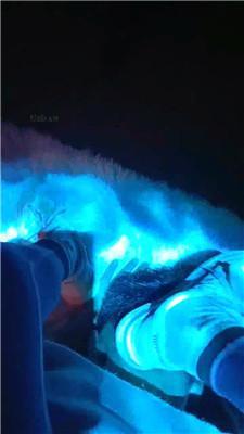 【长沙桃子】囚禁虐外地过来的狗 艾彩调教库 第3张