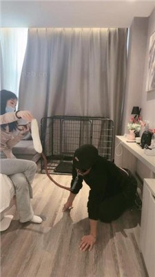 【小雅老师】狗笼圈养犬化绿帽前任【下】 艾彩调教库 第10张