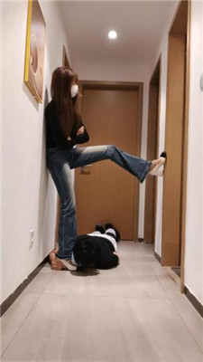 【梵高】白领库里丝下班后的原味诱惑狗 艾彩调教库 第15张