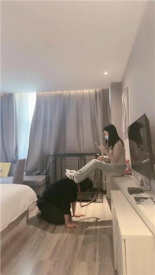【小雅老师】狗笼圈养犬化绿帽前任【中】 艾彩调教库 第4张