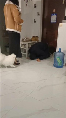 【Esse殿下】贱奴放鸽子的下场 艾彩调教库 第3张