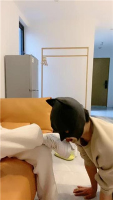 【甜味药丸】打手心/清理小白鞋棉袜/赏赐圣水/提档 艾彩调教库 第28张