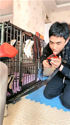 【刘二狗】沦为金融白领的擦鞋工具 艾彩调教库 第12张