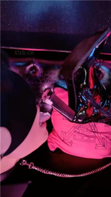 【潘妮女王】KTV-开发送酒服务生做狗 艾彩调教库 第8张