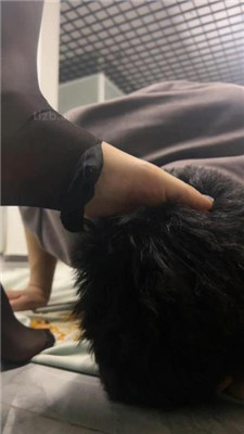 黑丝脚踩/鞭打/清理鞋底/洗脚水窒息/喂食 艾彩调教库 第19张