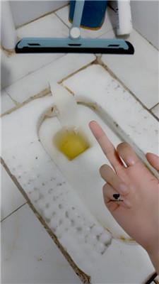【奶味小仙女】厕奴专场 JS240720-41 艾彩调教库 第17张