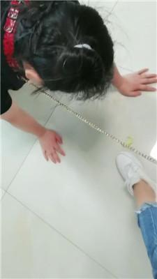 【凌儿】狗链遛狗/碾压踩狗爪/舔脏鞋/sp bf42841 艾彩调教库 第2张
