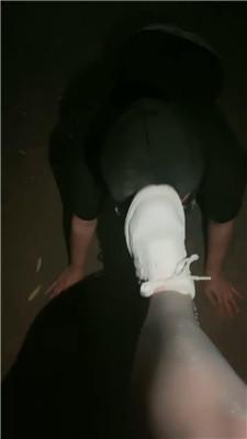 【语阳】户外遛狗驯化人形犬/电击 JS240722-4 艾彩调教库 第3张