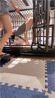【喵酱紫】凌晨强迫女奴伺候【完整版】 bf43291 艾彩调教库 第14张