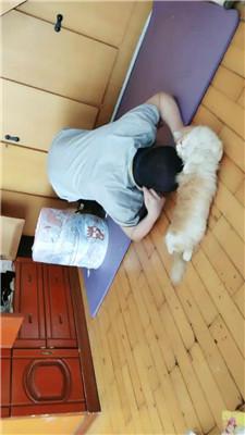 【桉】脚下喂食圈养奴【完整版】 JS240710-13 艾彩调教库 第7张