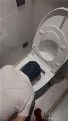 【车模尹】重度鞭打/被主人按头强迫吃姨妈巾/头压马桶 bf42778 艾彩调教库 第17张