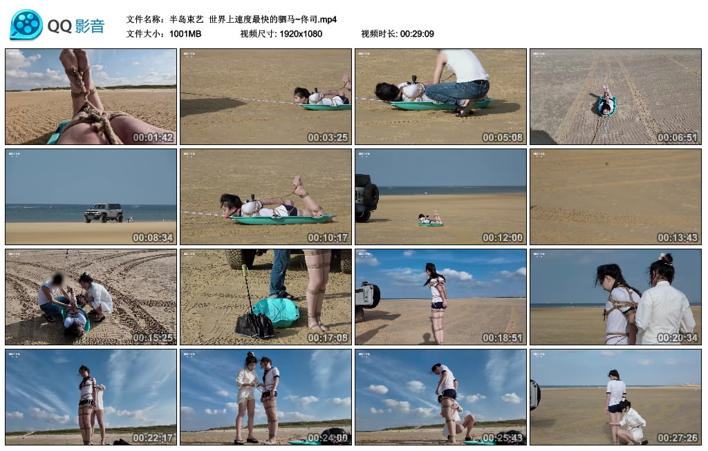 【半岛束艺】 世界上速度最快的驷马~佟司-HD绳艺资源网