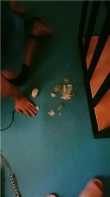 【艾斯】捆绑囚禁狗笼/踩踏喂食 JS240730-17 艾彩调教库 第5张