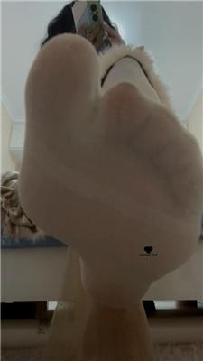 【玲子大人】沉浸式-臭脚臭袜羞辱 bf42942 艾彩调教库 第7张
