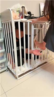 【蜜雪】重刑鞭打圈养狗奴 bf43214 艾彩调教库 第16张