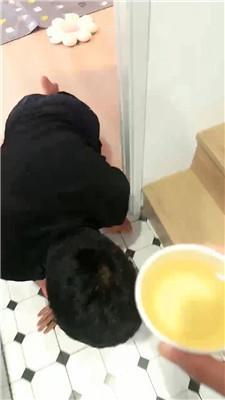 【许梦菲】圈养家奴-强迫圣水/暴力耳光 bf42856 艾彩调教库 第19张