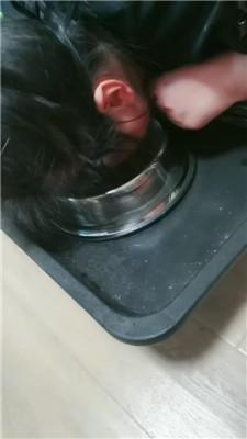 【凌儿女神】母畜-狗笼囚禁/黑丝高跟虐/赏赐圣水 bf42813 艾彩调教库 第16张