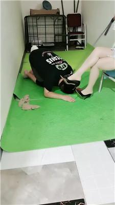 【未央宫】囚禁狗笼/丝袜塞嘴/骑马转胯 bf43335 艾彩调教库 第6张