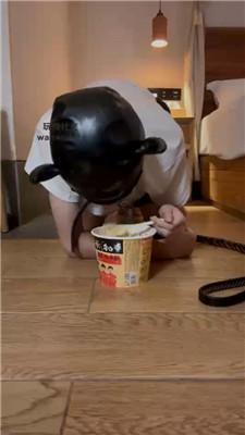 【UUS】圈养狗子叫磕头/耳光狂抽/圣水泡面 bf43619 艾彩调教库 第18张