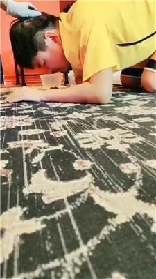 【圈养基地】赏赐人形犬晚餐/清理脏马桶/强制淋浴 JS240805-10 艾彩调教库 第2张