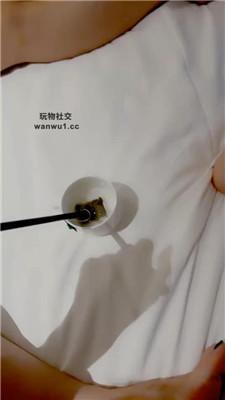 【梦梦老师】双S-小白鞋白棉袜气味辱/踩踏 JS240812-13 艾彩调教库 第14张
