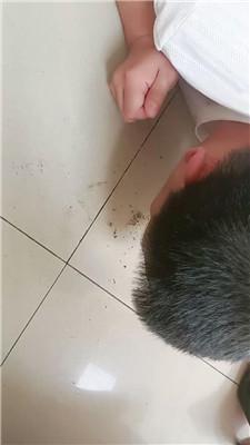 【你的女王】清理泥巴脏鞋/脚下喂食/碾压狗爪 JS240802-35 艾彩调教库 第3张