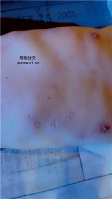 【领主老大】全程高跟全体重踩踏 bf43466 艾彩调教库 第19张
