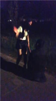 【天韵女皇】户外遛狗爬行/抽耳光/鞭打/【双视角版】JS240813-19 艾彩调教库 第3张