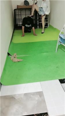 【未央宫】囚禁狗笼/丝袜塞嘴/骑马转胯 bf43335-HD绳艺资源网