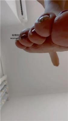 【月亮姐姐】汉脚裸足爽死你死贱狗 JS240810-10 艾彩调教库 第14张