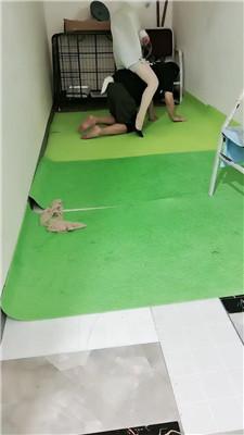 【未央宫】囚禁狗笼/丝袜塞嘴/骑马转胯 bf43335 艾彩调教库 第2张