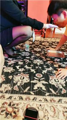 【圈养基地】赏赐人形犬晚餐/清理脏马桶/强制淋浴 JS240805-10 艾彩调教库 第7张
