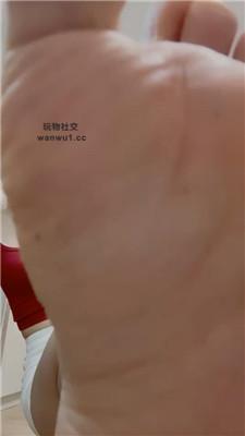 【月亮姐姐】汉脚裸足爽死你死贱狗 JS240810-10 艾彩调教库 第10张