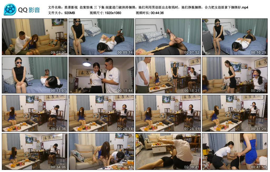 【胜景影视】 劫案惊魂 三 下集-HD绳艺资源网