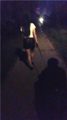 【天韵女皇】户外遛狗爬行/抽耳光/鞭打/【双视角版】JS240813-19 艾彩调教库 第2张