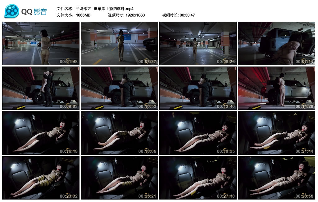 【半岛束艺】 逛车库上瘾的落叶-HD绳艺资源网