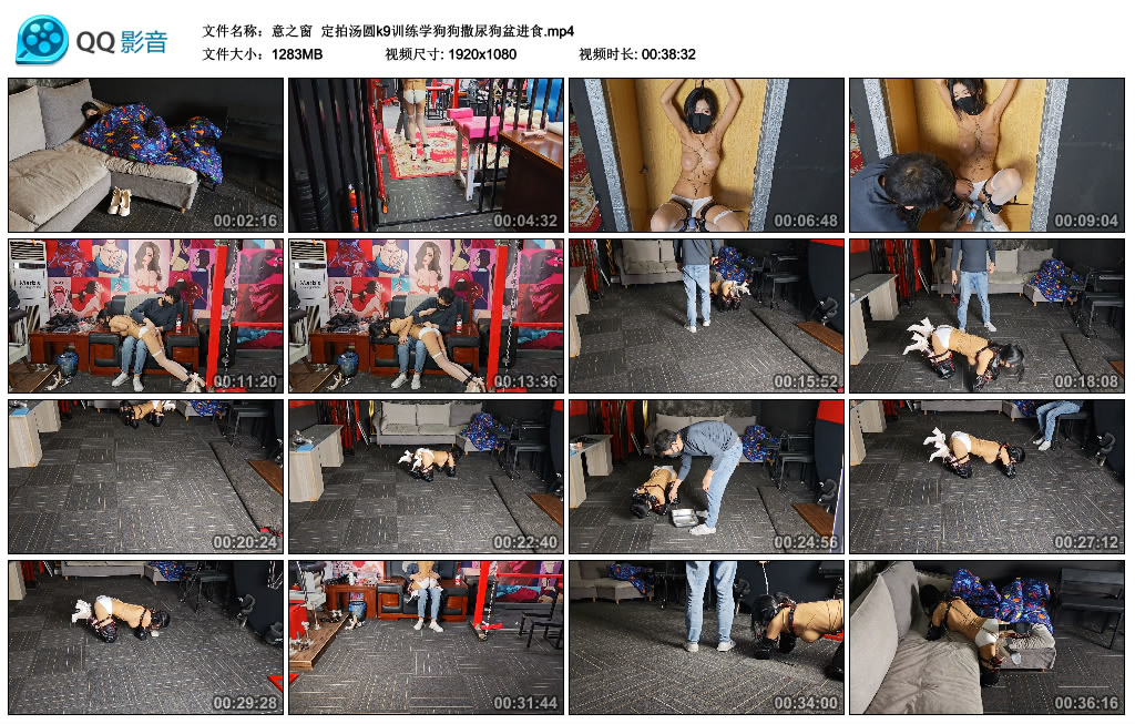 【意之窗】 定拍汤圆k9训练学狗狗撒尿狗盆进食-HD绳艺资源网