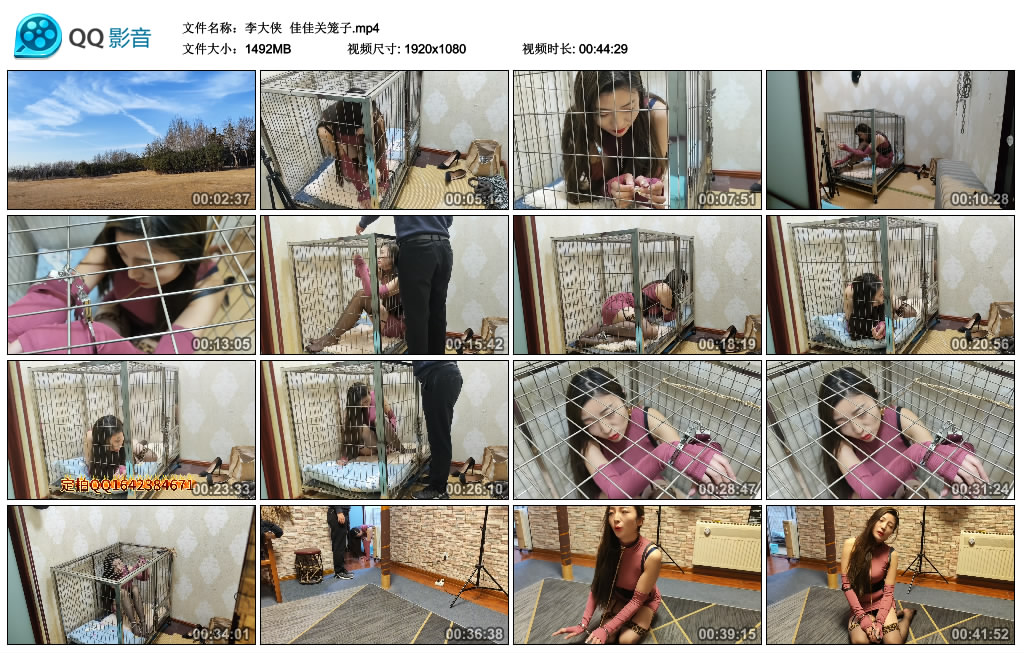 【李大侠】 佳佳关笼子-HD绳艺资源网